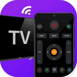Universal TV Remote Control
