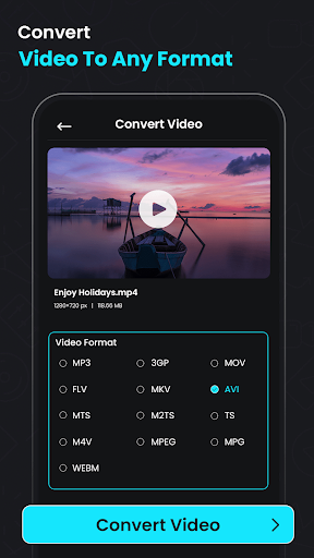 Video Compressor & Converter