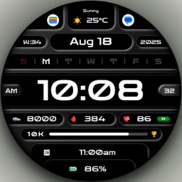 DADAM109: Pro Data Watch Face