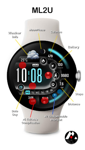 ML2U 281 Watch Face
