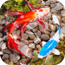 3D Fish Tank Live Wallpaper