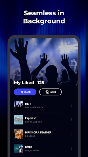 WaveFlow – Offline Music