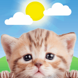 Weather Kitty – App & Widget