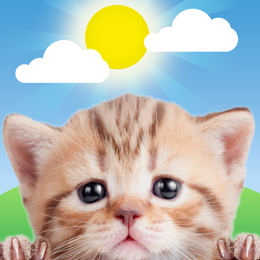 Weather Kitty – App & Widget