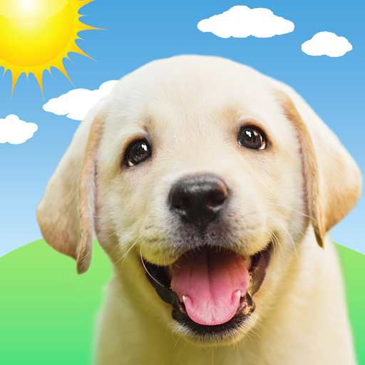 Weather Puppy – App & Widget