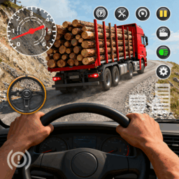 Real Driving: Vehicle & Park