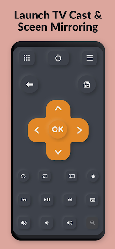 TV Remote Pro