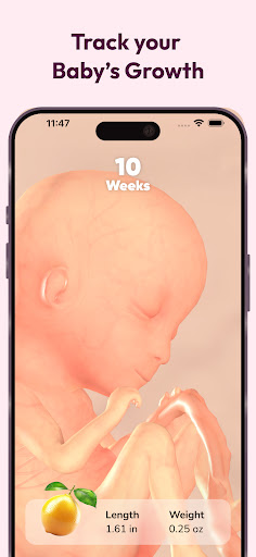 WeMoms Pregnancy Baby Tracker