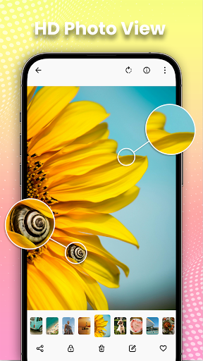 Gallery – Photo Gallery, Album