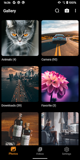 Gallery – photo gallery, album
