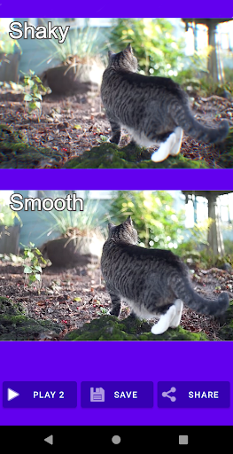 Shaky Video Stabilizer