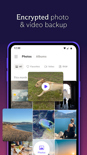 Proton Drive: Cloud Storage