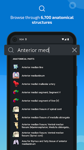 IMAIOS e-Anatomy