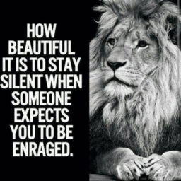 Motivational Quotes – Daily