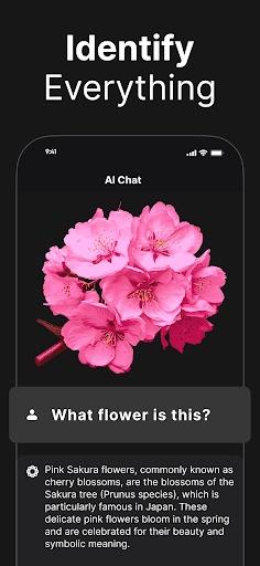 AI Chat – Chatbot AI Assistant