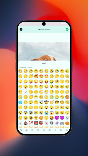 Live Face Camera