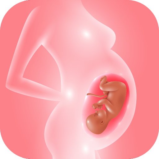 Track pregnancy & baby growth