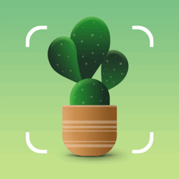 Plantum – Plant Identifier