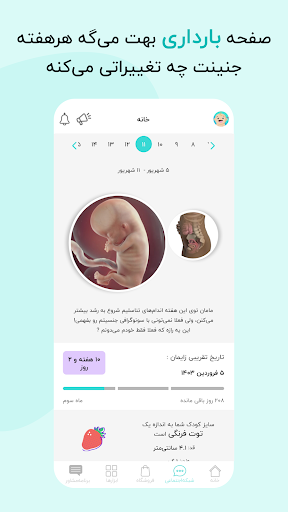 گهواره تربیت کودک و بارداری