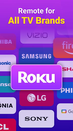 Universal TV Remote Control