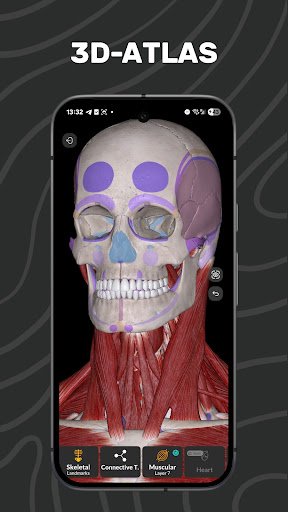 Easy Anatomy 3D