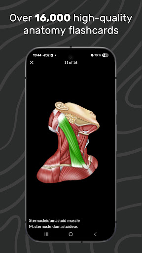 Easy Anatomy 3D