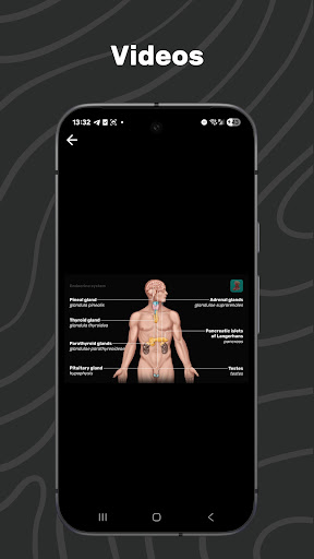 Easy Anatomy 3D