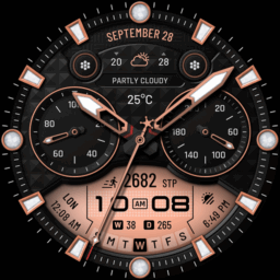 WTW M17 Hybrid Watch Face