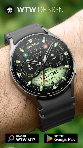 WTW M17 Hybrid Watch Face