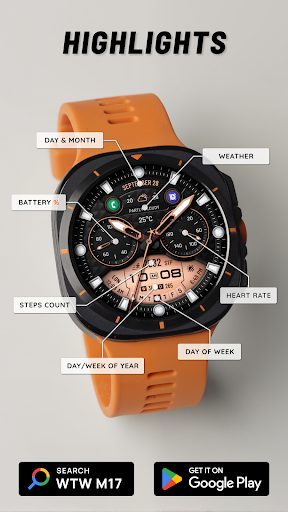 WTW M17 Hybrid Watch Face